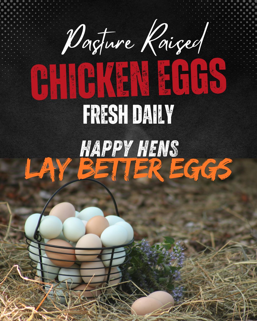 Free Range Eggs
