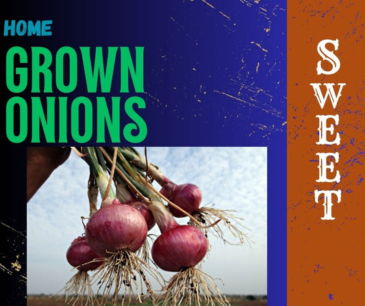 Sweet Onions – Naturally Grown with Care on Our Family Farm